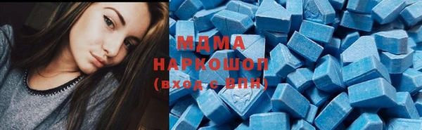 прущие грибы Аркадак