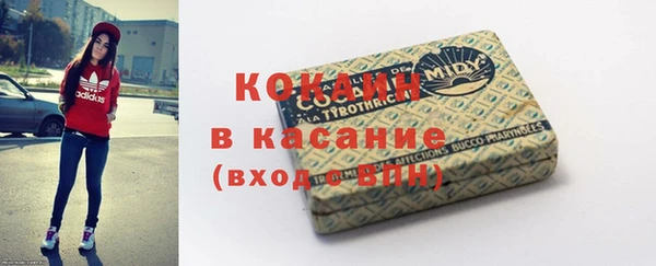 прущие грибы Аркадак