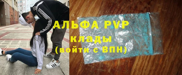 прущие грибы Аркадак