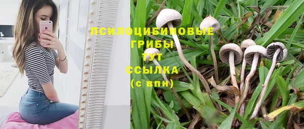 мет Армянск