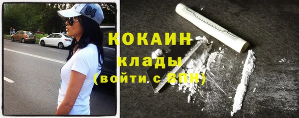 прущие грибы Аркадак
