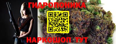 эйфоретик Гусев