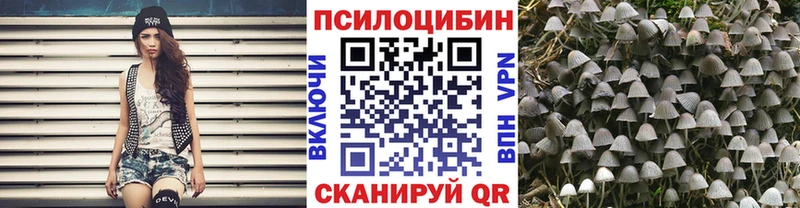 где купить наркоту  Сосновоборск  Галлюциногенные грибы Cubensis 