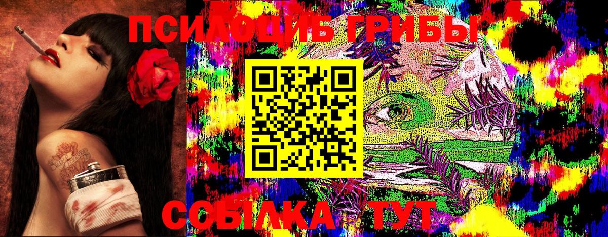 Псилоцибиновые грибы Psilocybine cubensis Сосновоборск