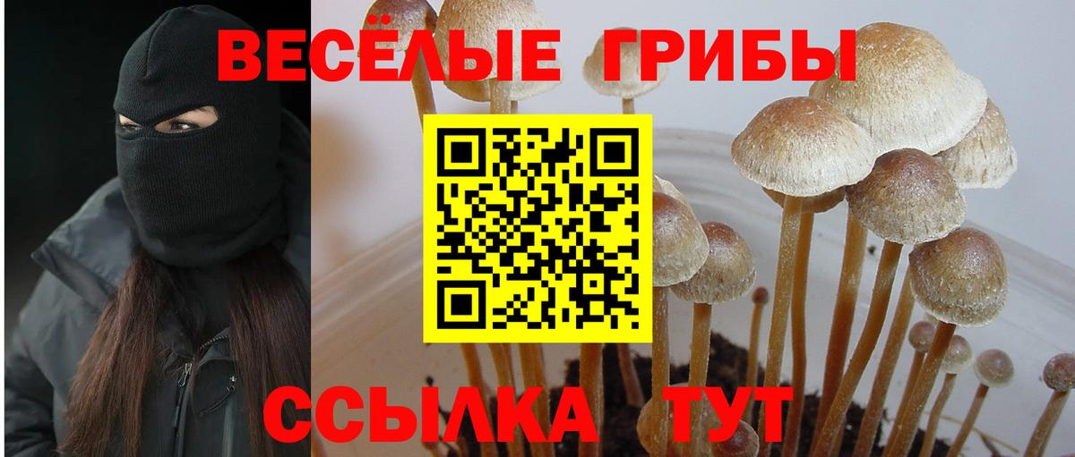 Сосновоборск  Псилоцибиновые грибы Magic Shrooms  Вход с VPN 